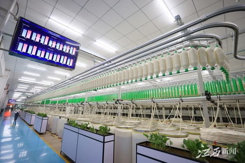 江西于都智慧工厂 智造服装新纪元，凤凰网江西引领网络技术服务